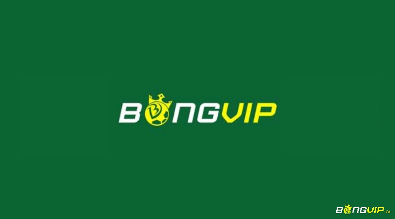 Bonggvip – Sân chơi cá cược thể thao uy tín số 1 hiện nay