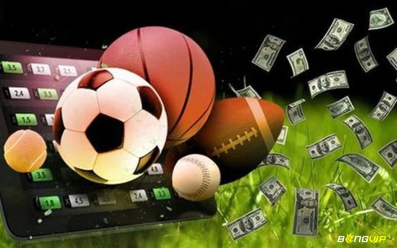Cá cược bóng đá trực tuyến cung cấp nhiều lựa chọn đa dạng cho người chơi