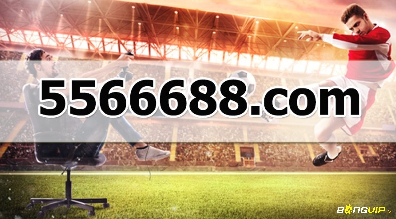 5566688 com là một trong những website thể thao chuyên nghiệp