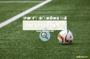 7Msport Livescore cập nhật tin tức bóng đá uy tín nhất hiện nay