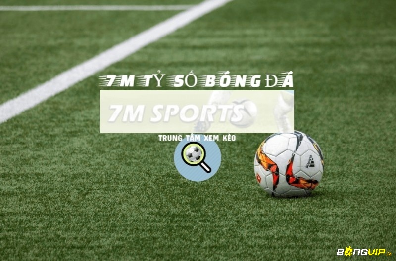 7Msport Livescore là một trong những website cung cấp thông tin hữu ích về thể thao