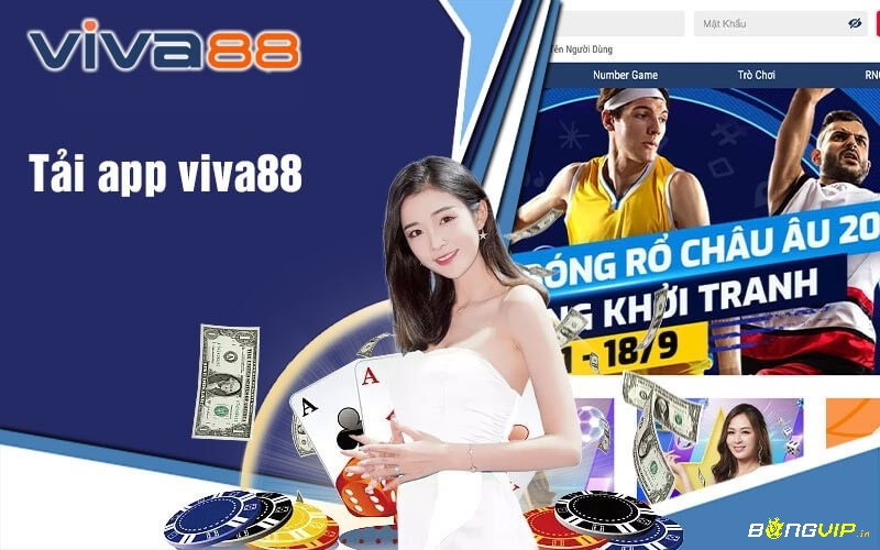  Sử dụng app Viva88 giúp tân thủ trải nghiệm cá cược tiện lợi