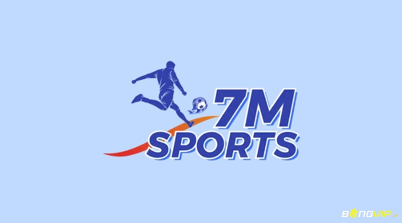 Vn 7m sport: Cập nhật thông tin bóng đá nhanh chóng, chính xác