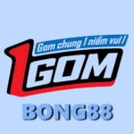 1gom bong88: Hệ thống cung cấp kiến thức cá cược bổ ích