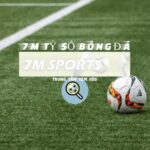 7Msport live score – Website cập nhật thông tin bóng đá uy tín
