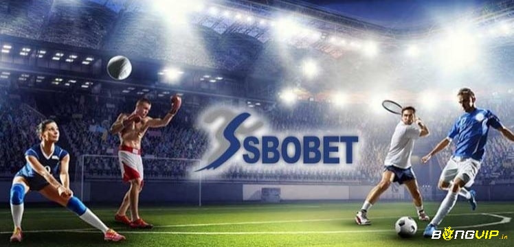 SBOBET là thế giới với nhiều sản phẩm thu hút