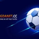 Go bong da net – Bongdaso dữ liệu, tỷ số bóng đá trực tuyến