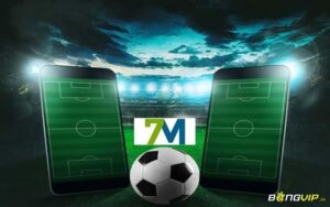 Vn.7msport.c - Website cung cấp thông tin bóng đá uy tín
