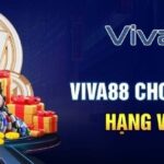 M. Viva88.net – Hướng dẫn tải ứng dụng cho di động đơn giản