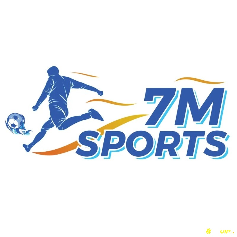  7M là một thương hiệu uy tín và nổi tiếng nhất hiện nay trong thể thao